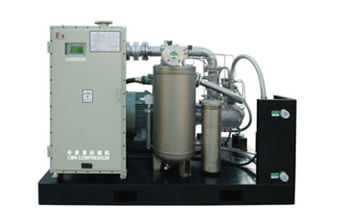 CMT系列特种工艺气体空压机